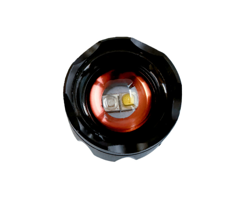 FL_395 UV-395 Accesorios y Complementos Linternas y lámparas