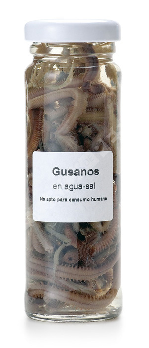 Gusano Cebos en conserva Accesorios y Complementos Cebos naturales